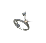 ARY-Jewellers-Silver-Ring-R09.png