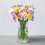 Fragrant-Freesias.jpg