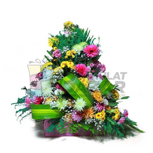 dashing-basket.jpg