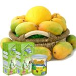 mango-craze-1.jpeg